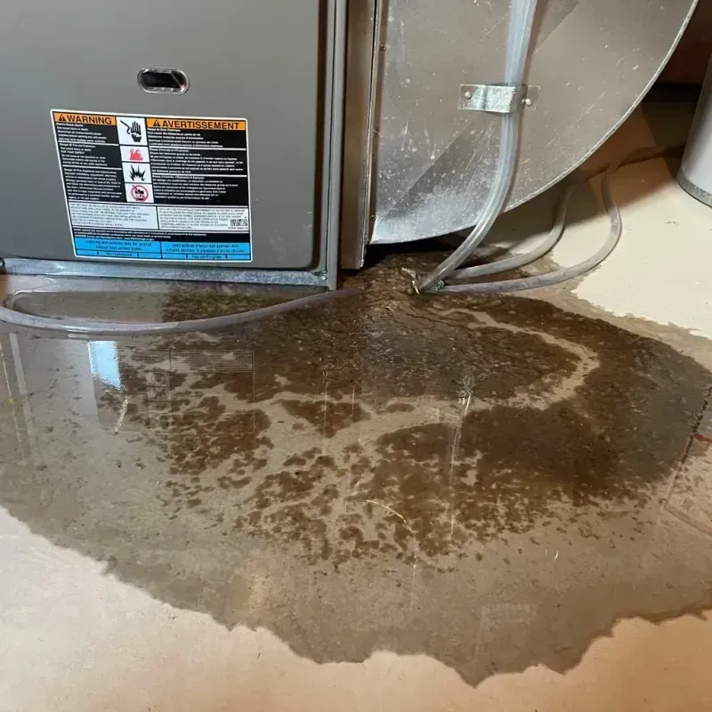 Appliance Leak Cleanup in Lakeville, MN